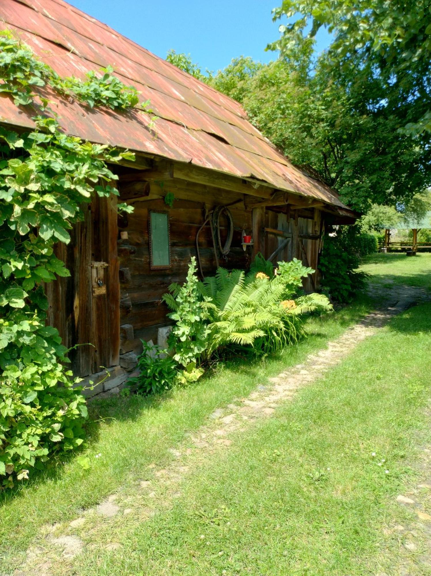 Dom Sloneczko Pokoje Do Wynajecia W Bialowiezy Białowieża Exterior foto